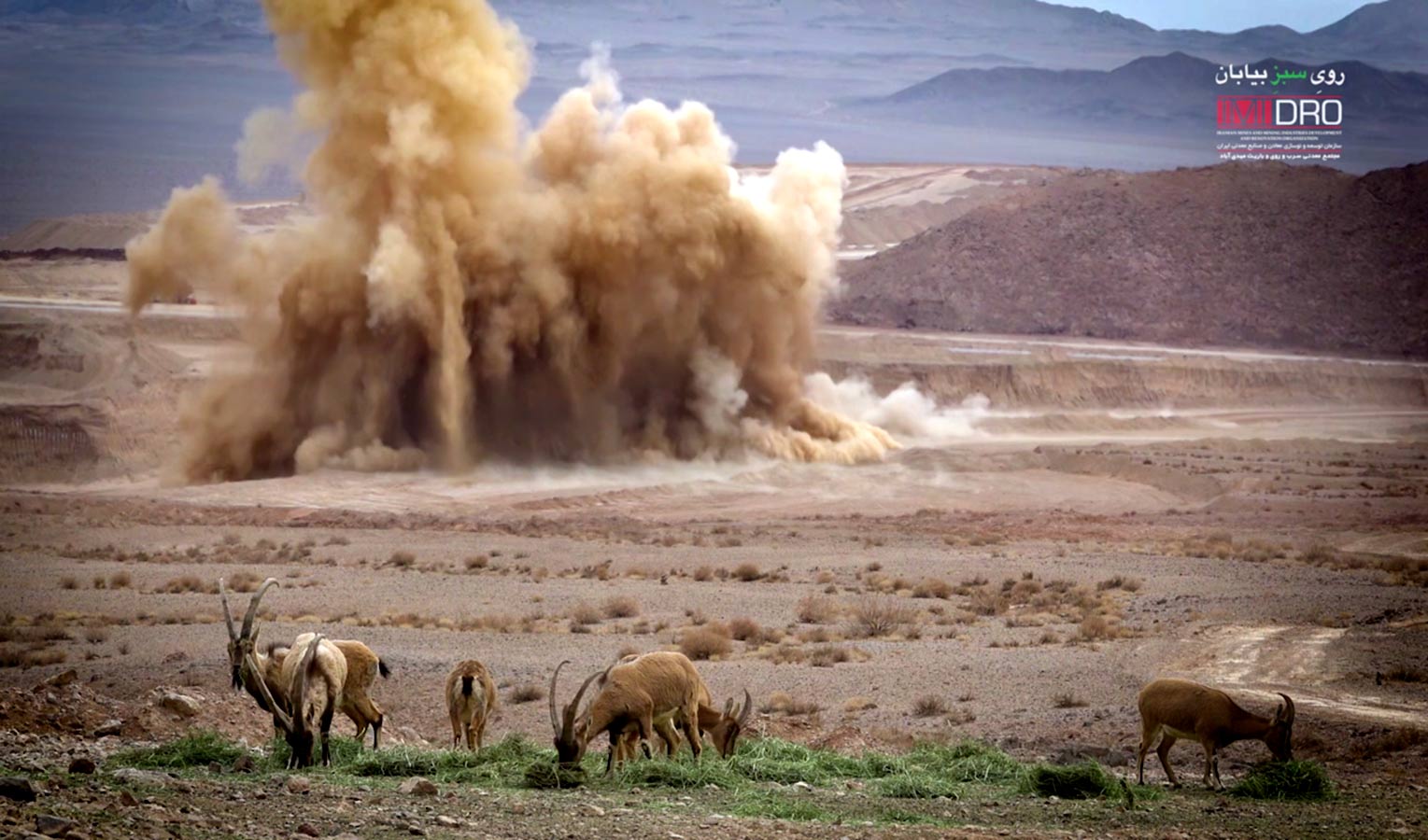 اکران فیلم مستند "روی سبز بیابان" در ایمیدرو