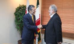 Rome calls for expansion of economic cooperation with Tehran 2014/11/10