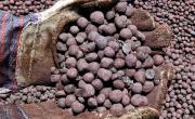 Pellet Production Jumps 10 % in March_Oct 2023 Period