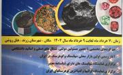 برگزاری نخستین جشنواره ملی گوهرسنگ‌ها و شهاب‌سنگ‌های ایران در زرند