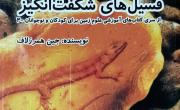 انتشار کتاب آموزشی &laquo;فسیل&zwnj;های شگفت&zwnj;انگیز&raquo; برای کودکان و نوجوانان